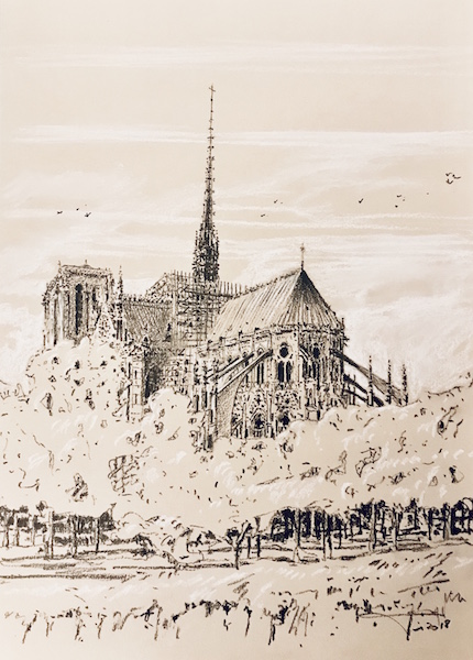 Notre Dame de Paris et les oiseaux 30x42cm 2018