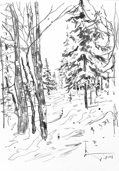 Bouleaux et sapins 30x42cm crayon gras sur papier 2023 nature forêt paysage neige snow landscape art artwork francois edouard finet