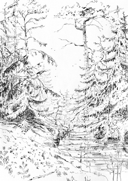 Riviere gelée 30x42cm 2023 crayon gras sur papier nature foret forest snow neige paysage landscape art artwork