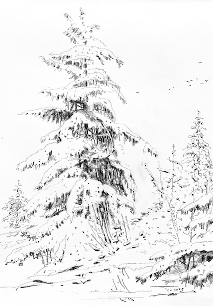 Sapins sous la neige 30x42cm crayon gras sur papier art neige landscape paysage nature