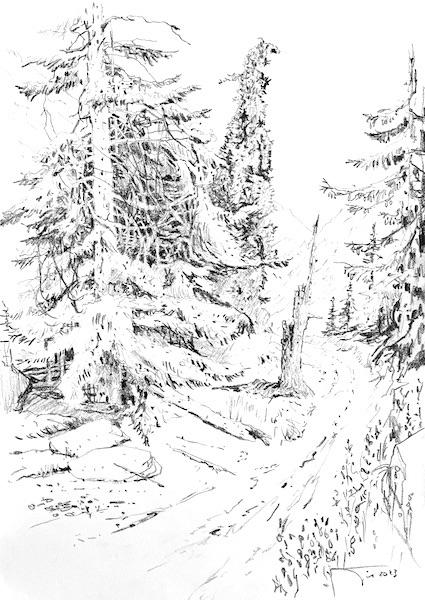 Sous-bois et tronc 30x42cm crayon gras sur papier 2023 dessin art contemporary drawing forest forêt tree sapins pins mountain montagne french artist paris salon du dessin