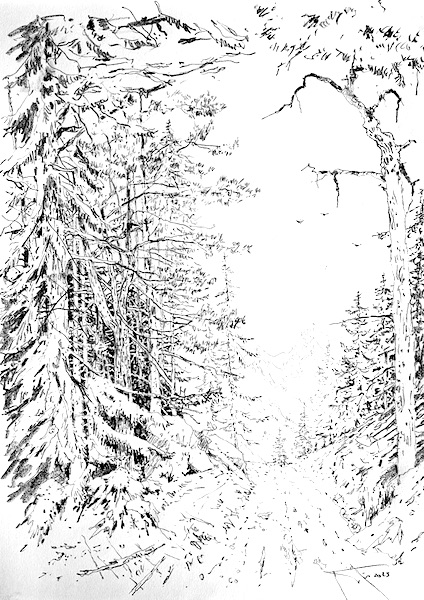 Suivre son chemin 30x42cm crayon gras sur papier 2023 dessin contemporain contemporary drawing art for sale artwork paris french artist forest forêt arbres nature