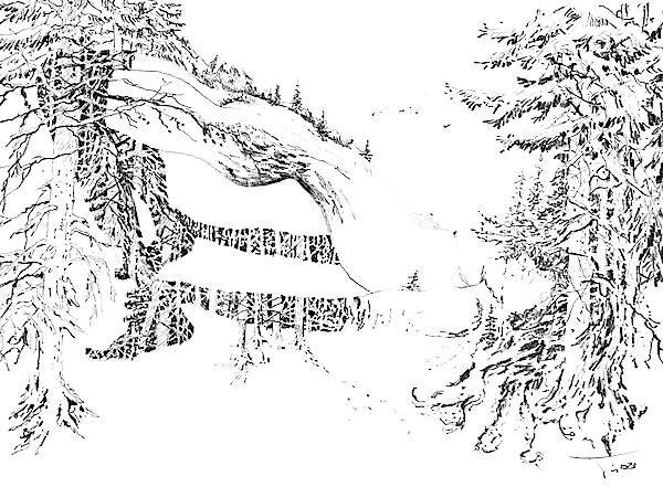 Femme végétale arc-boutée 30x42cm Crayon gras sur papier François-Edouard Finet artiste french artist dessin drawing forest forêt nu nude art contemporain contemporary art