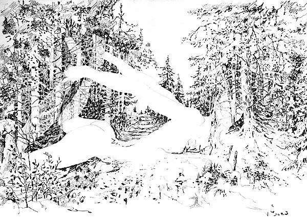 Femme végétale s'étirant 30x42cm Crayon gras sur papier François-Edouard Finet artiste french artist dessin drawing forest forêt nu nude art contemporain contemporary art