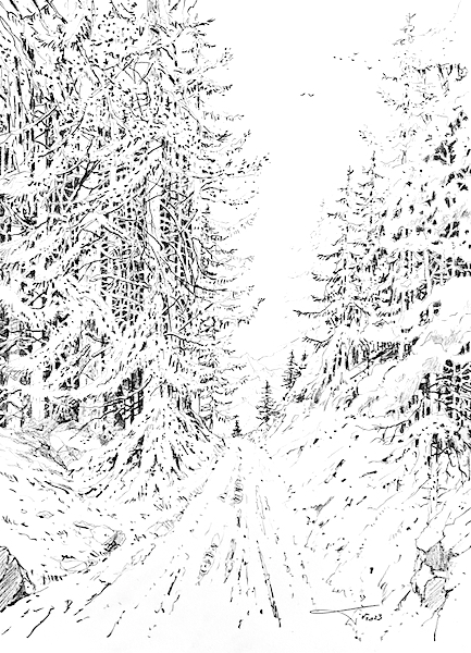 Randonnée dans les Vosges 30x42cm crayon gras sur papier 2023 dessin drawing forest mountain montagne vosges figurativ art artwork contemporaryart naature beauty beauté