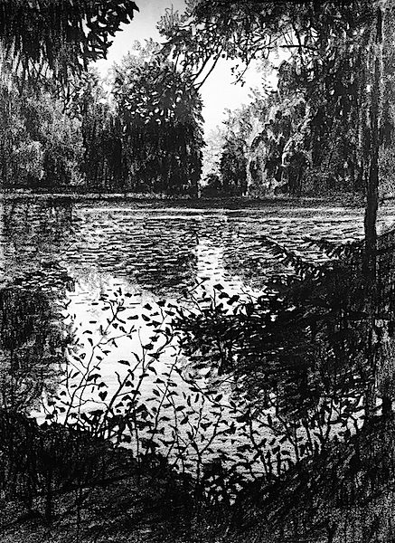 Fraîcheur aquatique 30x42cm crayon gras sur papier 2023 dessin drawing zeichnung lac see lake paysage landscape art artwork artwerk beauty art contemporain contemporaryart art for sale